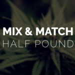Multi Pack – Half Pound – 8 x 28g