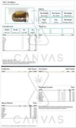 Ganja Edibles – Ganja Bears 150mg THC - Image 9