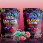Sky High Edibles – World of Flavor Gummies – North America (1200mg THC)