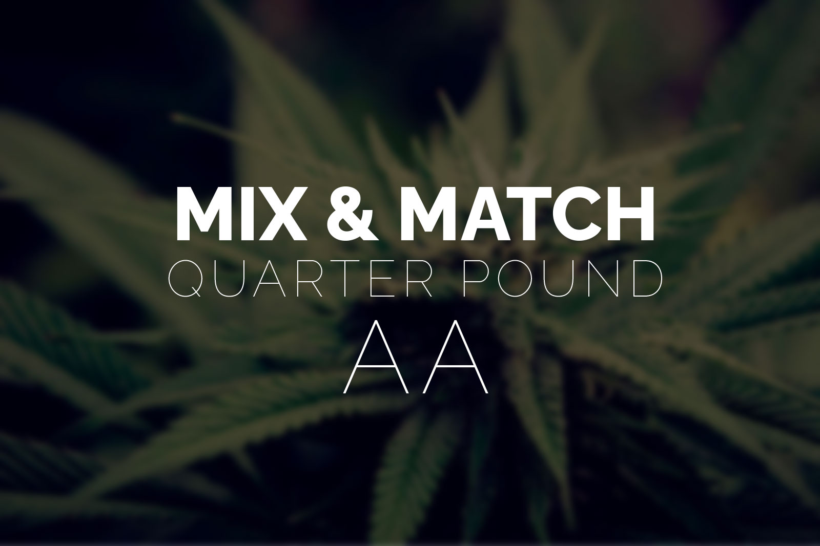 Multi Pack – Quarter Pound AA Strains – 4 x 28g - Image 1