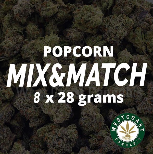 Multi Pack – Popcorn Flowers – 8 x 28g - Image 1