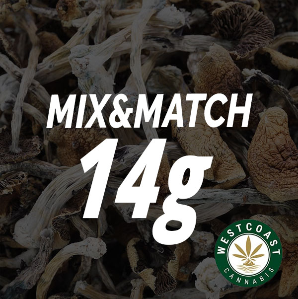 wcc-mushroom-mix-match-14g Shroom – Mix and Match 14g - Image 1