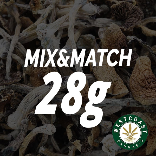 Shrooms – Mix and Match 28g - Image 1