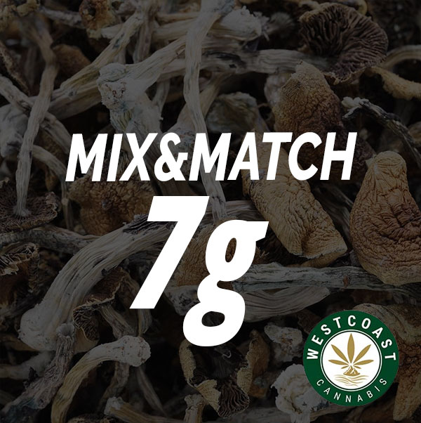 wcc-mushroom-mix-match-7g Shroom – Mix and Match 7g - Image 1