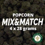 Multi Pack – Popcorn Flowers – 4 x 28g