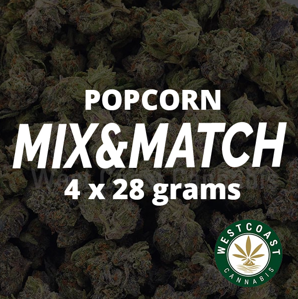 Multi Pack – Popcorn Flowers – 4 x 28g - Image 1